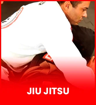 Jiu Jitsu